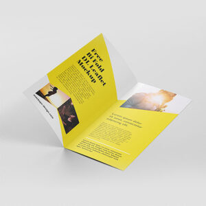 DL Flyers
